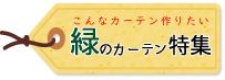 緑カーテン特集